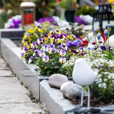 Eine ganzjährige Grabbepflanzung für ein stilvolles Andenken