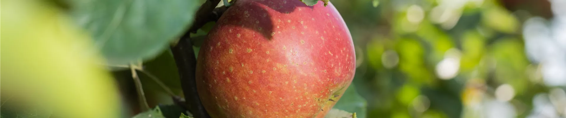 GS613518.jpg GS613518.jpg