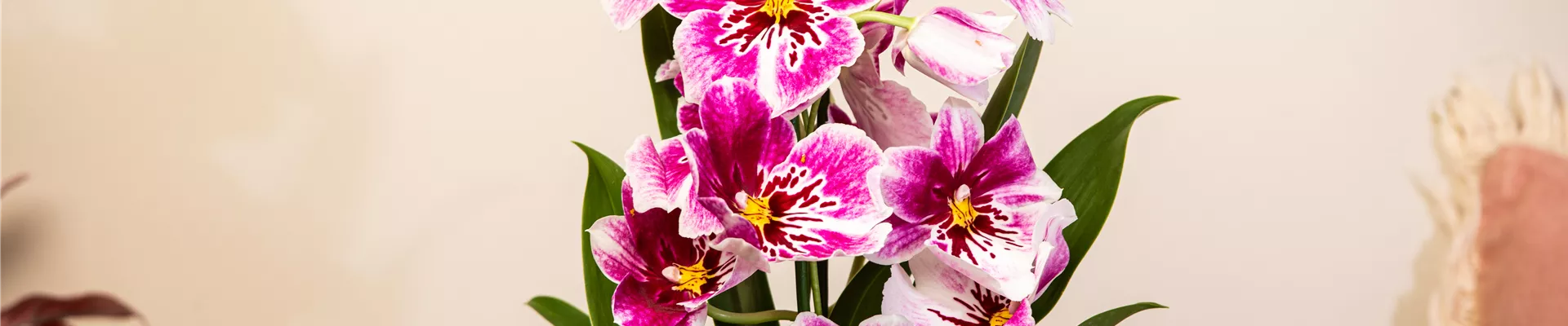 GS708496.jpg GS708496.jpg