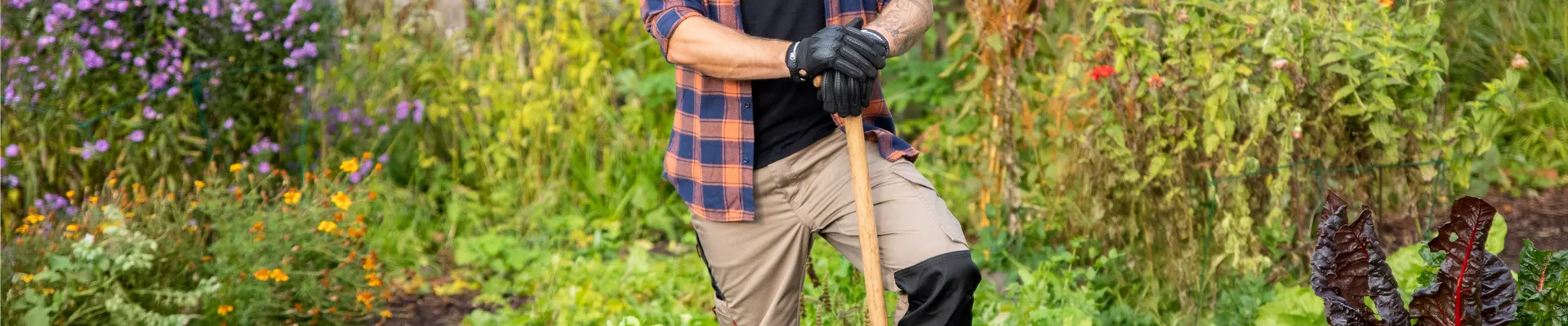 GS693006.jpg GS693006.jpg