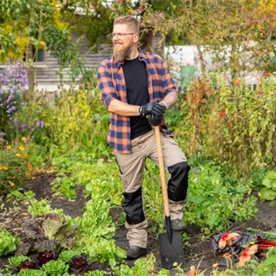 Mischkultur mit Gemüse und Kräutern für eine erfolgreiche Ernte Mischkultur mit Gemüse und Kräutern für eine erfolgreiche Ernte