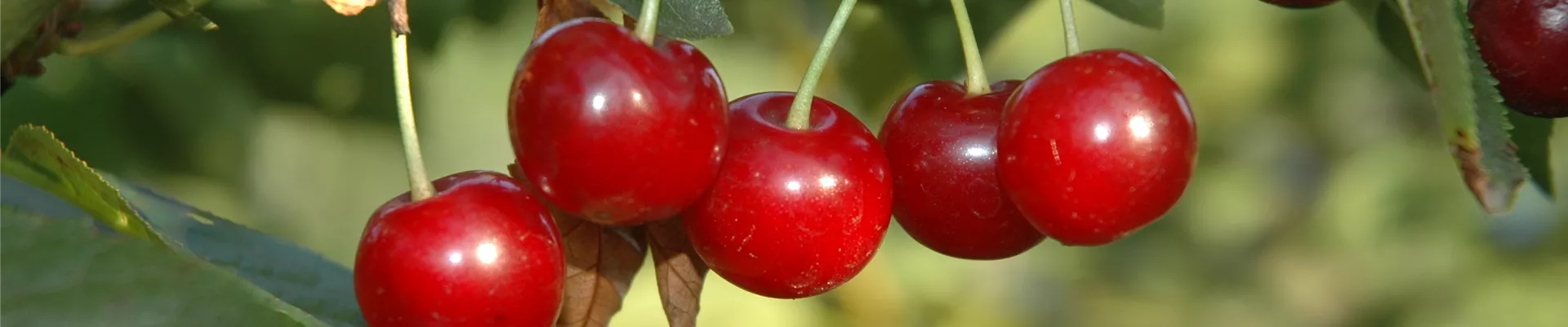 GS622022.jpg GS622022.jpg