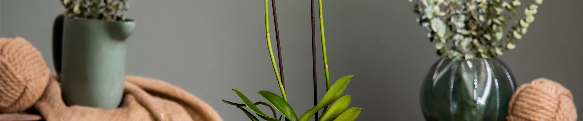 GS700284.jpg GS700284.jpg