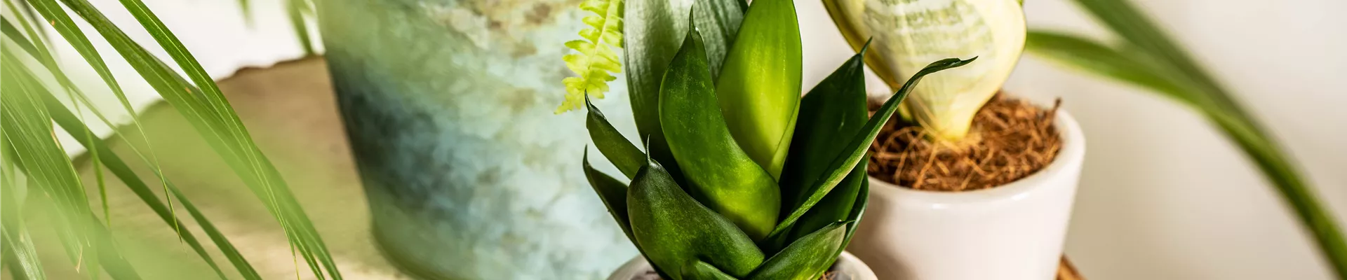 GS639397.jpg GS639397.jpg