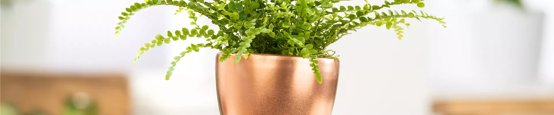 GS641941.jpg GS641941.jpg