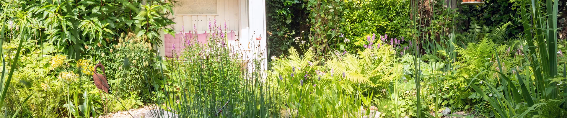 GS671929.jpg GS671929.jpg