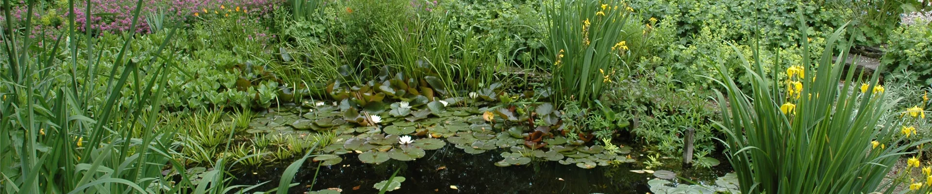 GS614158.jpg GS614158.jpg