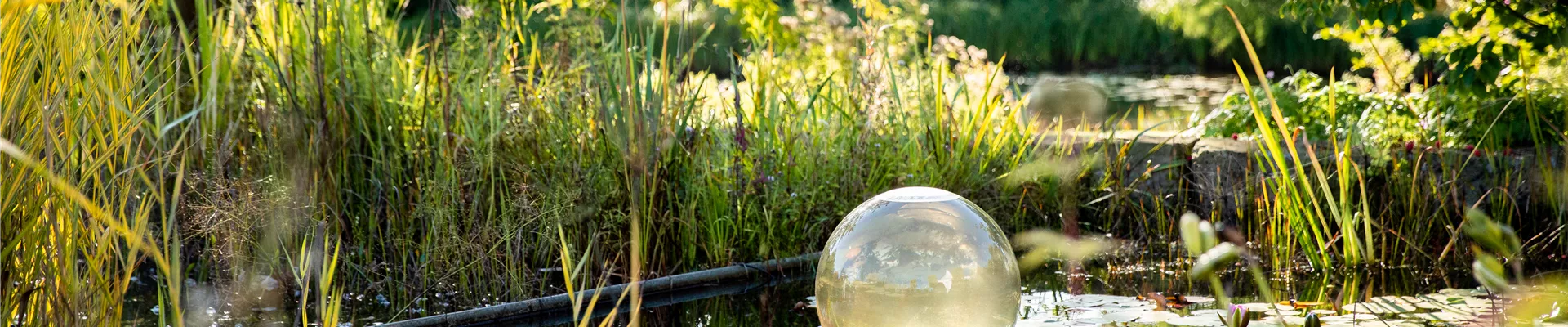 GS675539.jpg GS675539.jpg