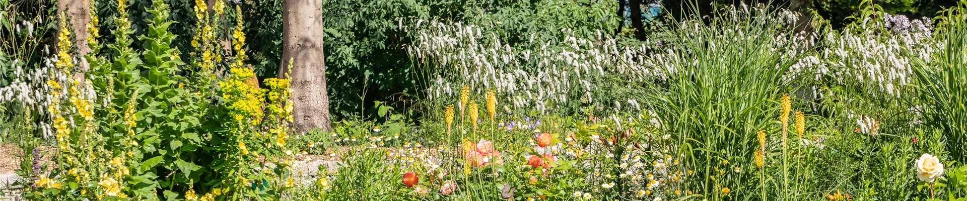 GS666810.jpg GS666810.jpg