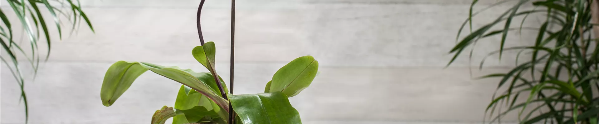 GS648718.jpg GS648718.jpg