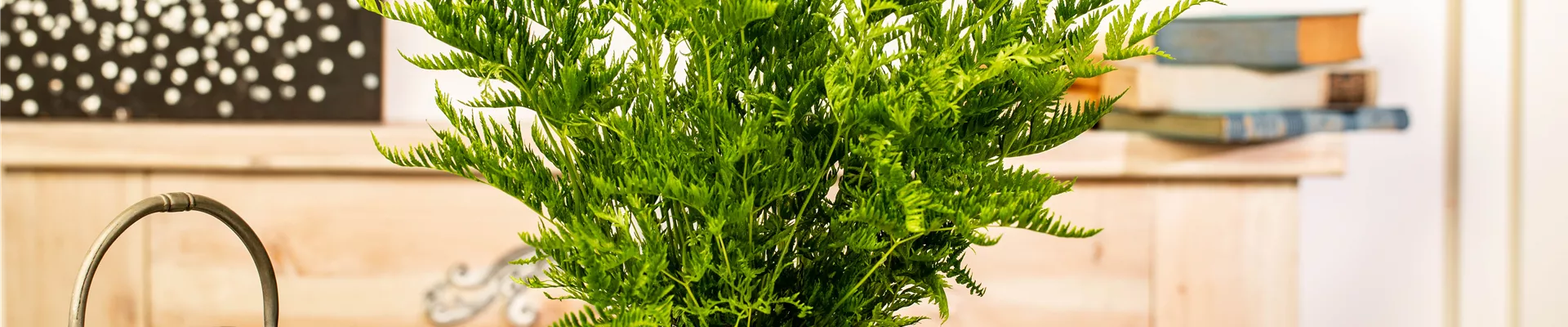 GS638673.jpg GS638673.jpg