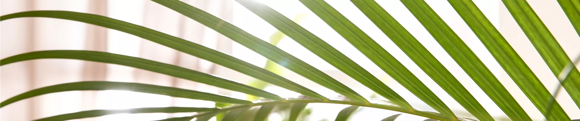 GS625016.jpg GS625016.jpg