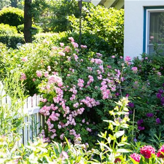 Gartengestaltung – Ideen für den eigenen Garten Gartengestaltung – Ideen für den eigenen Garten